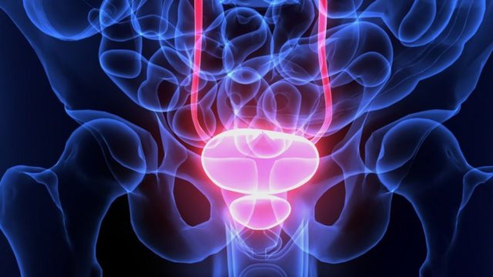 A próstata fica logo abaixo da bexiga e chances de câncer são maiores a partir dos 50 anos — Foto: GETTY IMAGES/BBC
