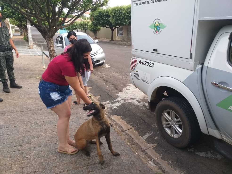 Homem é multado por maus-tratos a animais em Pracinha (SP) — Foto: Polícia Ambiental 