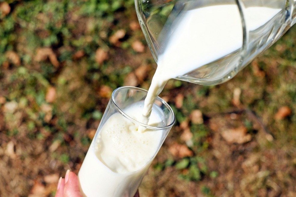 Produção de leite - Emater-RJ — Foto: Divulgação/Emater-RJ
