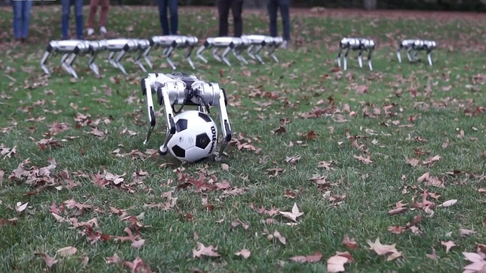 Os 'indestrutíveis' robôs do MIT capazes de dar saltos mortais e jogar futebol — Foto: BBC