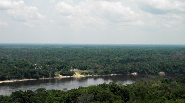 Floresta Amazônica está sendo afetada por mudanças climáticas e ambientais (Foto: Photo Pin)