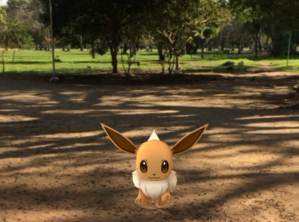 Pokémon Eevee é encontrado no Parque Farroupilha, em Porto Alegre no jogo Pokémon Go — Foto: Lisiane Lisboa/G1/Arquivo