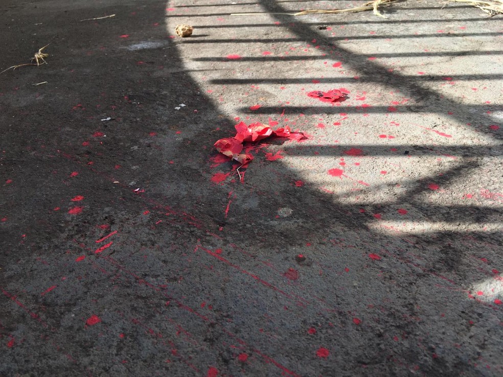 Tinta de cor vermelha foi colocada dentro de cascas de ovos vazias — Foto: Stephanie Fonseca/G1