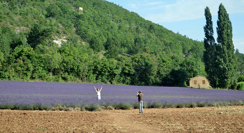 Lavanda (Foto: Thinkstock)