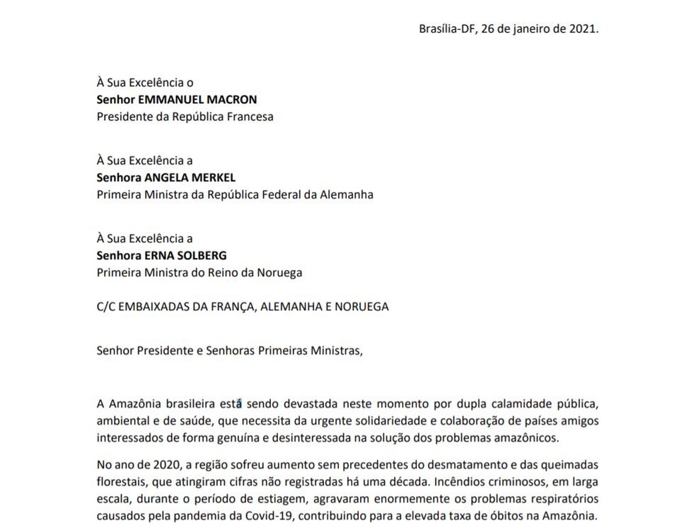 9 Ex Ministros Do Meio Ambiente Pedem A Lideres Europeus Que Ajudem Amazonia Devastada Por Dupla Calamidade Publica Amazonia G1