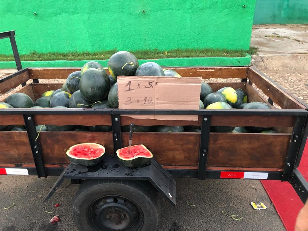 Vereador alegou que comprou o produto em Avaí  — Foto: Polícia Civil/Divulgação