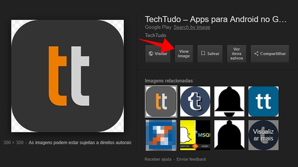 Google Imagens Como Baixar Fotos Lancadores E Buscadores Techtudo
