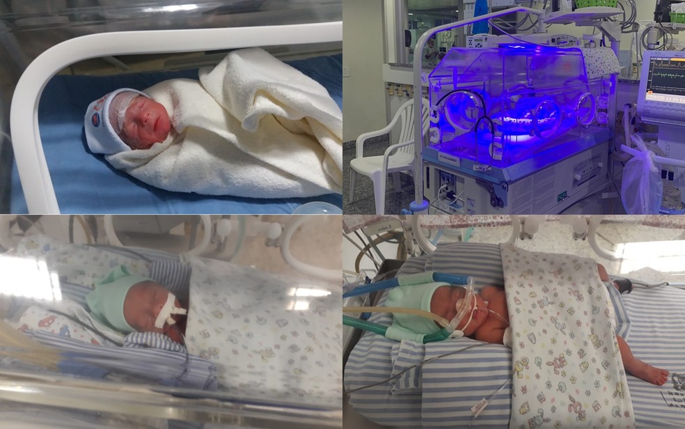 Quadrigêmeos Théo, Liz, Lucca e Chloe após o parto em Goiânia — Foto: Reprodução/TV Anhanguera