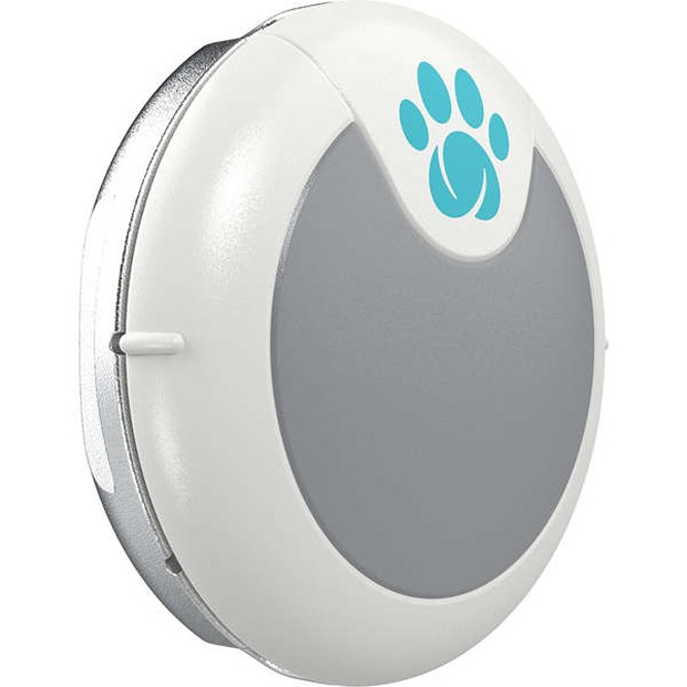 Monitor de Comportamento e Atividades com App para Cachorros Animo, Sure PetCare. R$ 649,90, na Petlove (Foto: Divulgação/MSD  Saúde Animal)