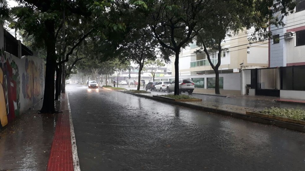 Jardim da Penha, em Vitória (Foto: Viviane Machado/ G1)
