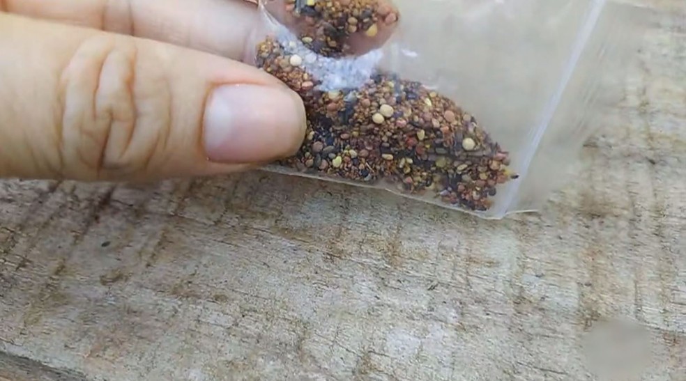 Moradora de Itapetininga (SP) recebeu pacote com sementes misteriosas após compra em site chinês — Foto: Reprodução/TV TEM
