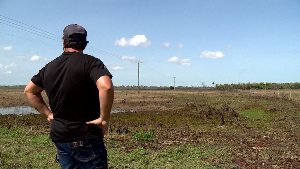 Propriedades rurais alagadas acumulam prejuÃ­zo, no norte do ES â Foto: ReproduÃ§Ã£o/ TV Gazeta