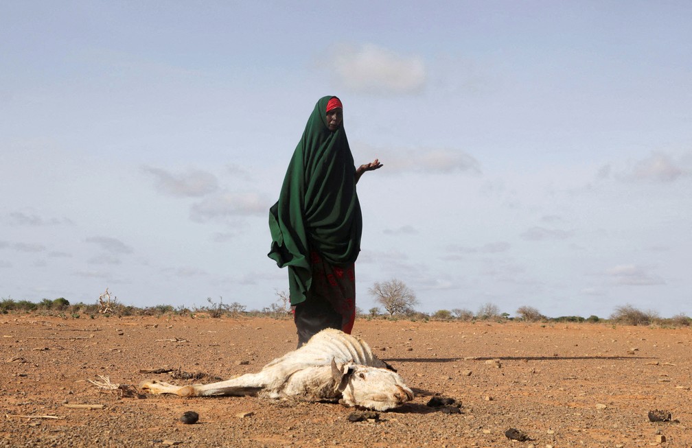 26 de maio - Mulher somali deslocada internamente fica perto da carcaa de uma de suas vacas mortas aps secas severas perto de Dollow, regio de Gedo, na Somlia — Foto: Feisal Omar/Reuters