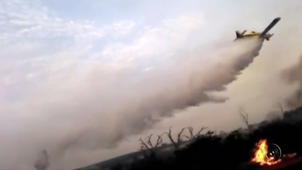 Avião agrícola foi usado para combater chamas em área entre Bálsamo e Mirassolândia (Foto: Reprodução/TV TEM)