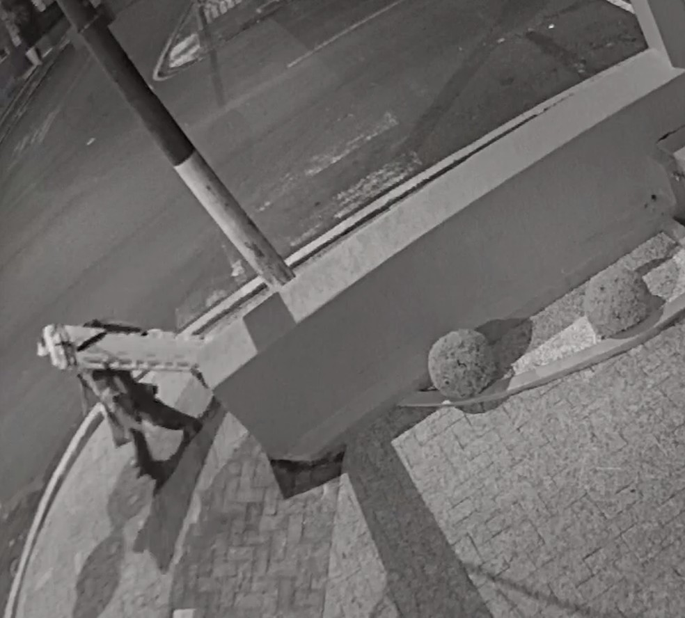 Vídeo mostra momento em que homem atropelado por trem foge de hospital amarrado em maca — Foto: Colaboração/Fest Well