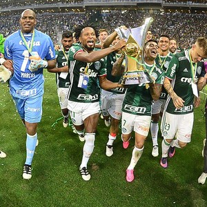 Palmeiras x Chapeconese (Foto: Marcos Ribolli)