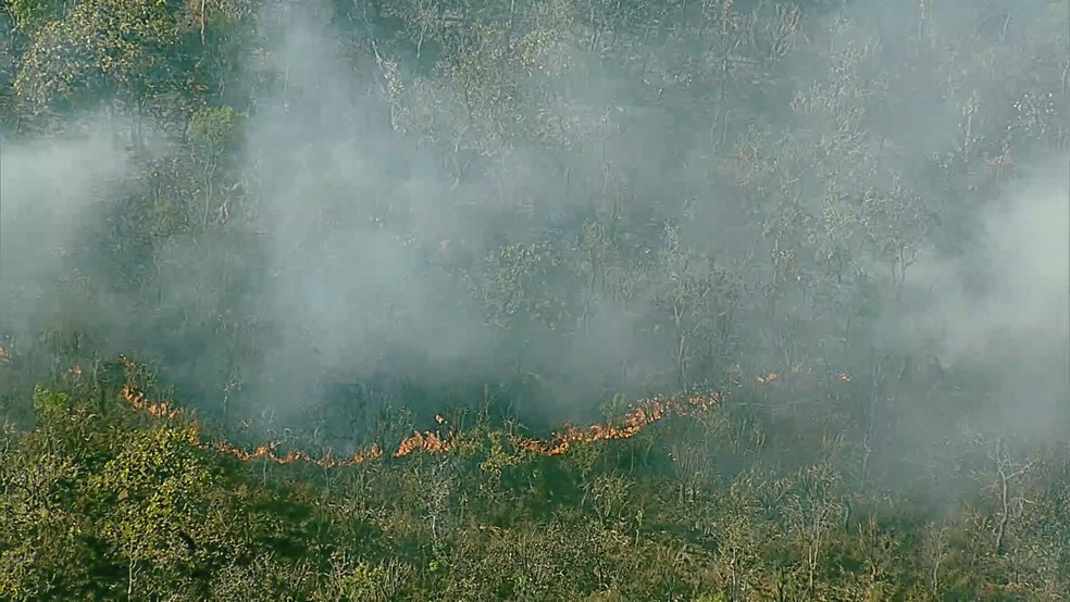 Fogo no Parque Nacional de Brasília, na manhã desta terça-feira (6) — Foto: TV Globo/Reprodução