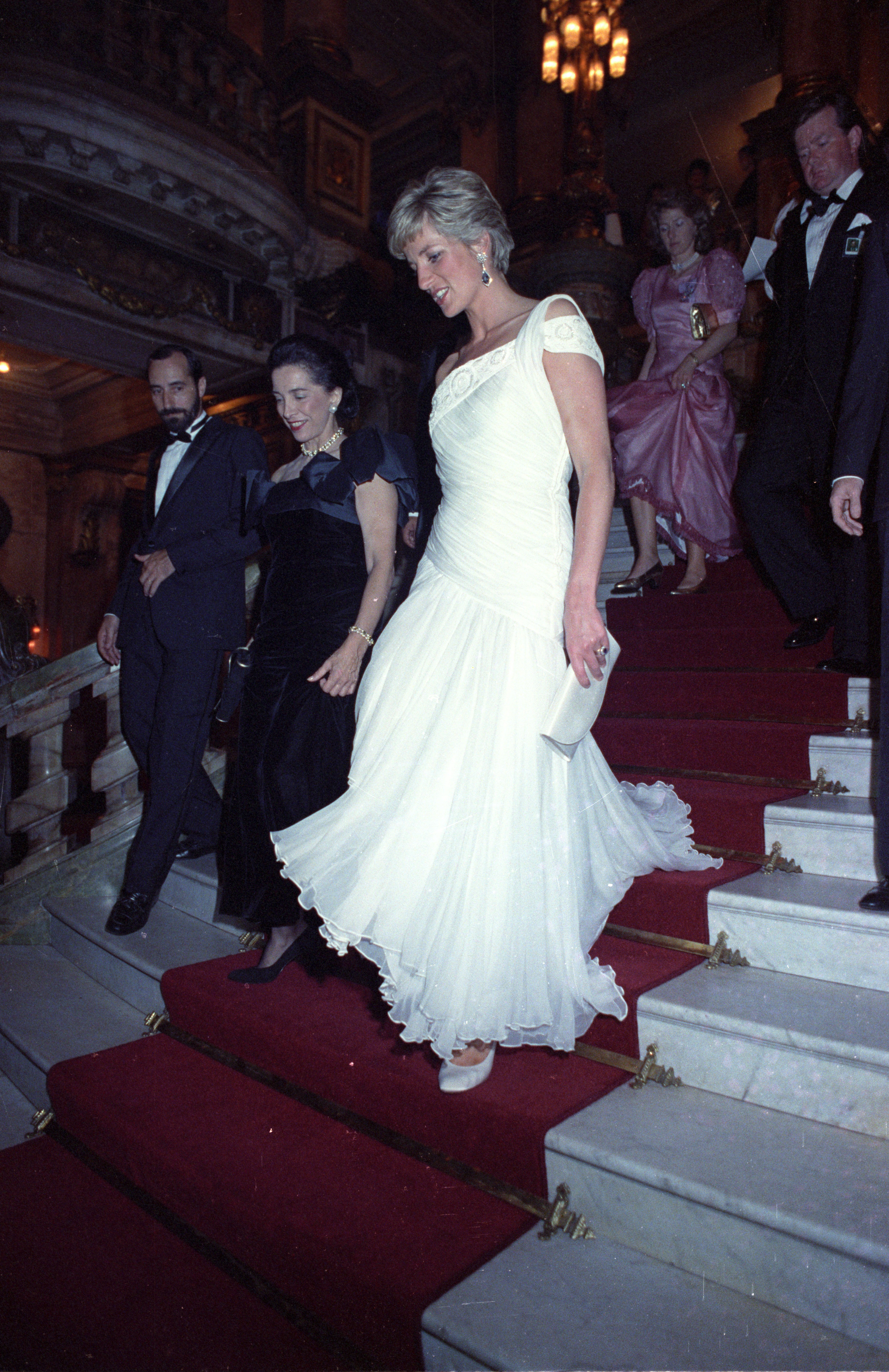 Porno, mushukingni siking bilan uring