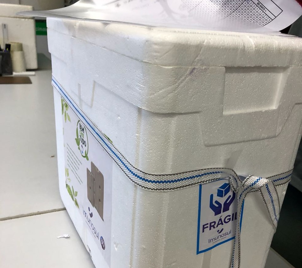 760 doses teriam sido armazenadas em caixas de isopor sem termômetro, diz secretaria (Foto: Secretaria Municipal de Saúde/Divulgação)