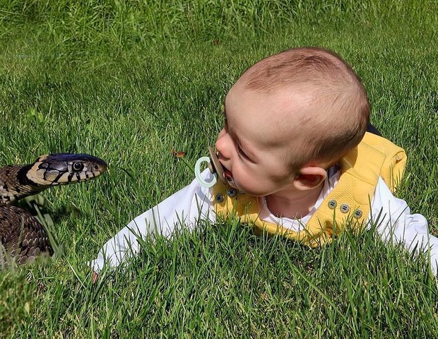 O bebê com uma cobra (Foto: Reprodução Instagram)