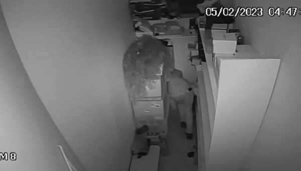 Suspeito de furtar joalherias é preso no enterro da mãe; vídeo mostra ação