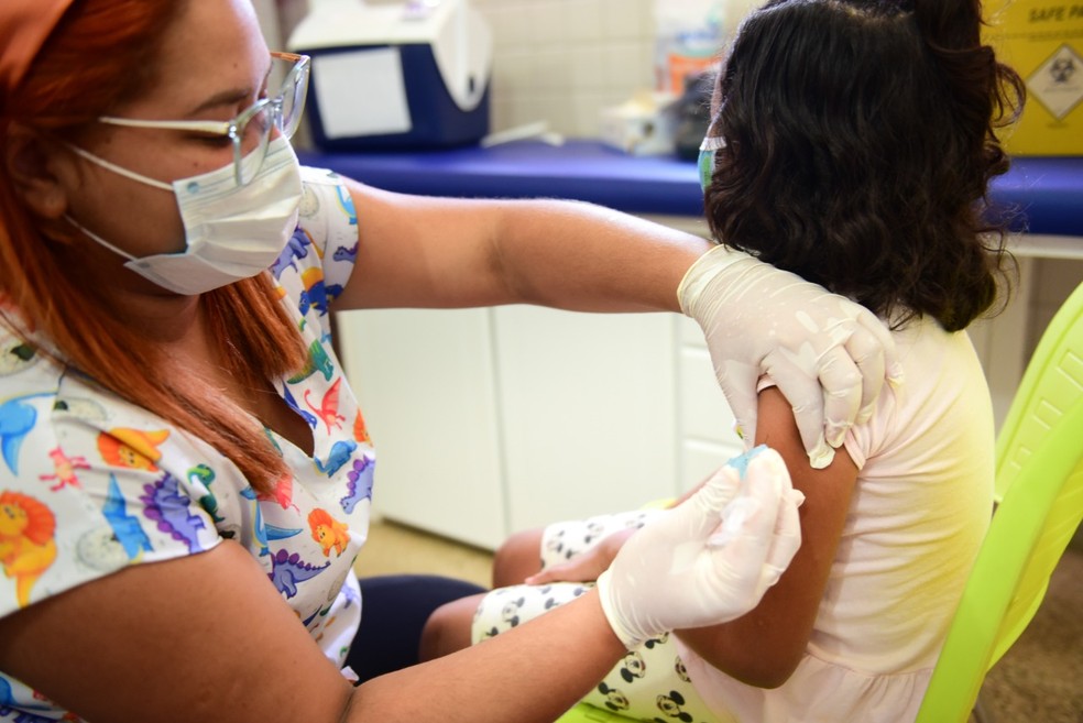 Vacinação contra a gripe — Foto: PMBV/Arquivo