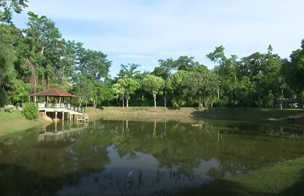 Previsão do tempo para este sábado (12) no Acre é de sol com mormaço em todas as regiões