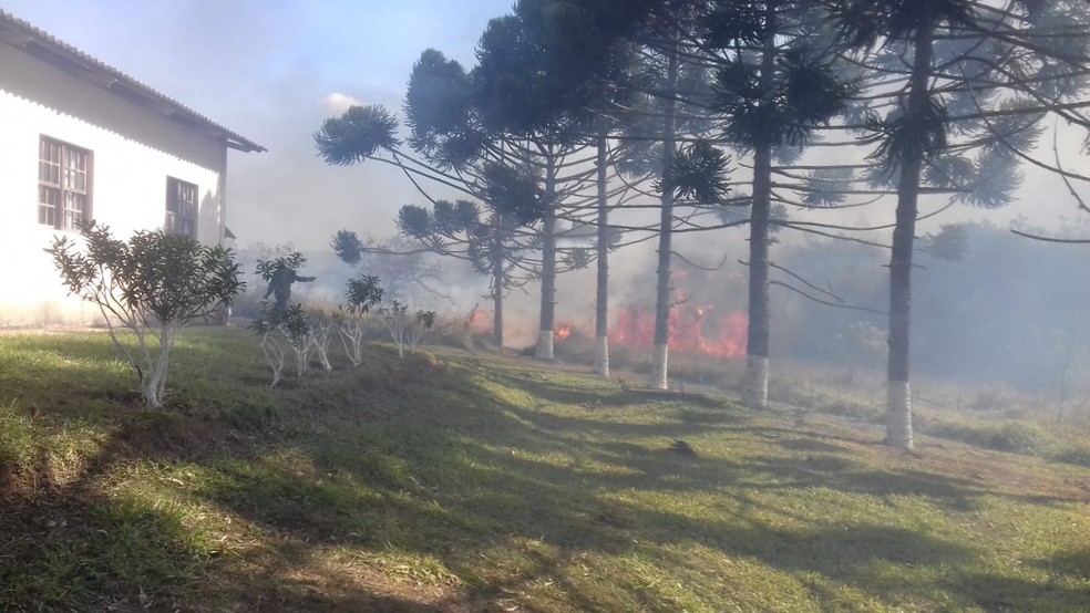 Fogo quase atingiu casas em área agrícola de Barbacena — Foto: Corpo de Bombeiros/Divulgação