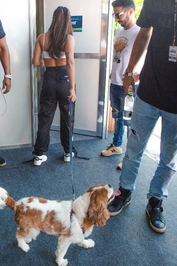 Anitta se diverte ao levar cão para o camarim (Foto: Reprodução/Instagram)