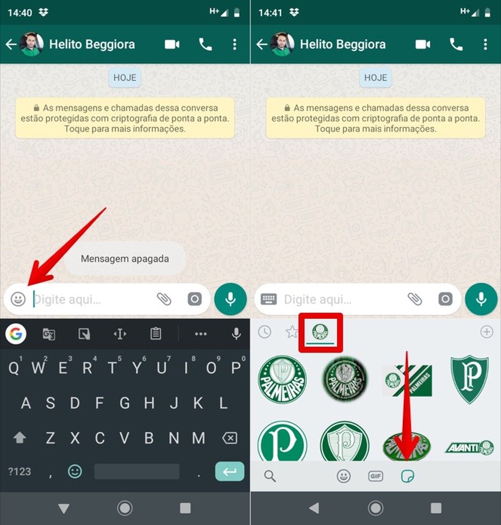 Figurinhas do Palmeiras para WhatsApp: veja como usar stickers do time |  Redes sociais | TechTudo