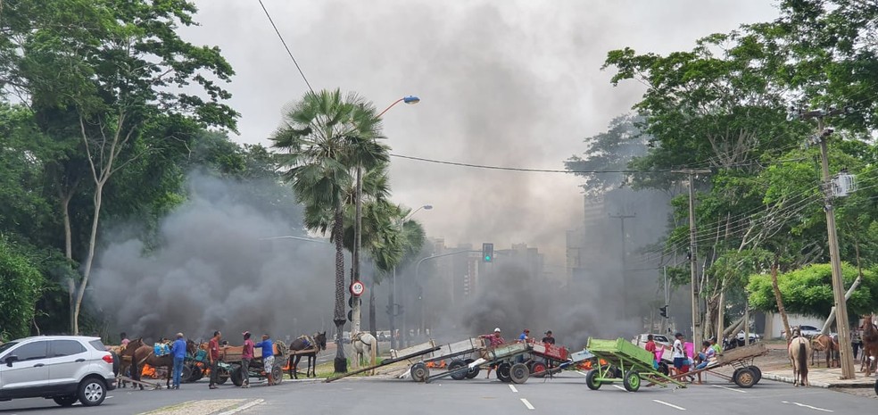 Av. Marechal Castelo Branco, no Centro de Teresina, teve as duas vias bloqueadas durante protesto de carroceiros — Foto: Dalyne Barbosa