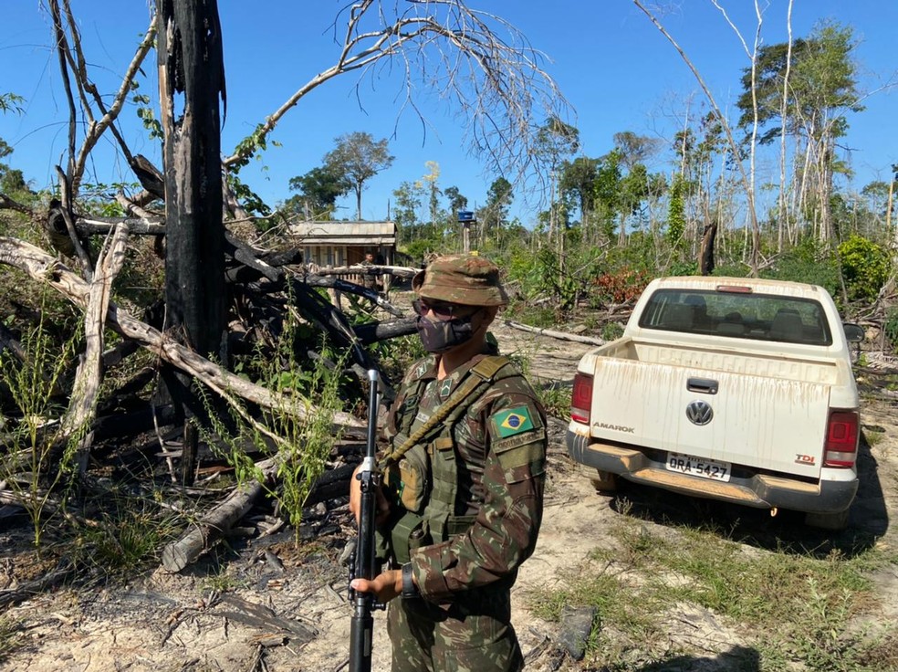 Operação contra desmatamento realizada em florestas nacionais de Rondônia — Foto: Exército Brasileiro/Divulgação