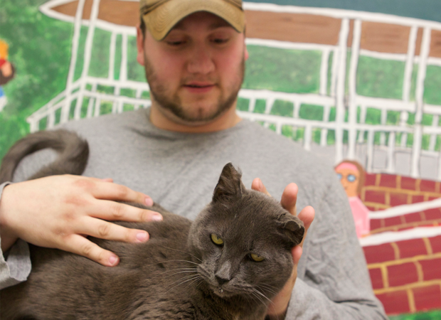 O gato Hemi e seu dono Robert Commell (Foto: Bill Hand/Sun Journal via AP)