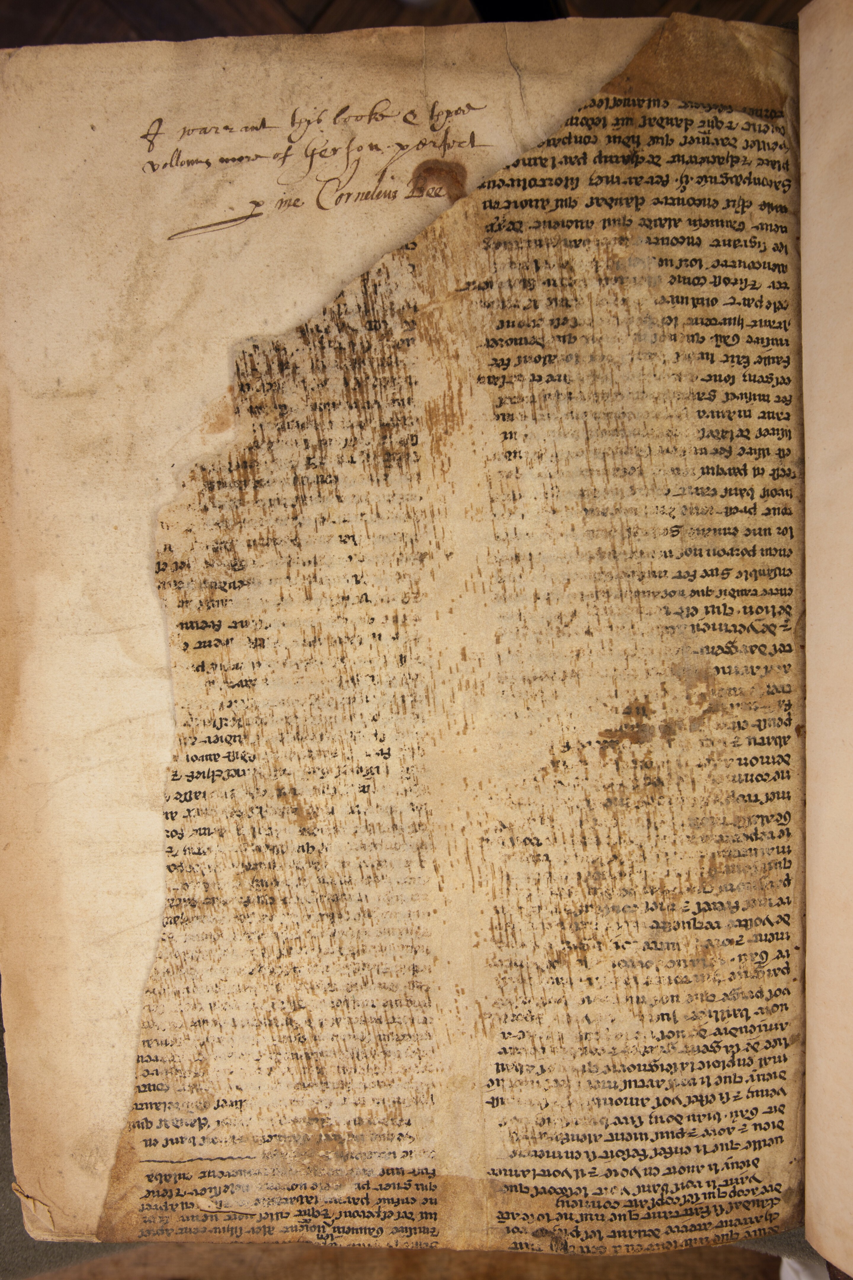 Um dos fragmentos de manuscrito com danos visíveis em uma das páginas  (Foto: Don Hooper)