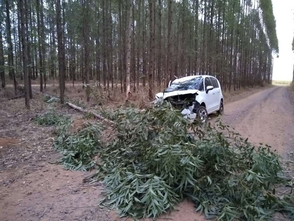 Acidente aconteceu na tarde de quarta-feira (28) em estrada rural da Granja Ueyama em Bastos — Foto: Arquivo pessoal/Valdecir Luís