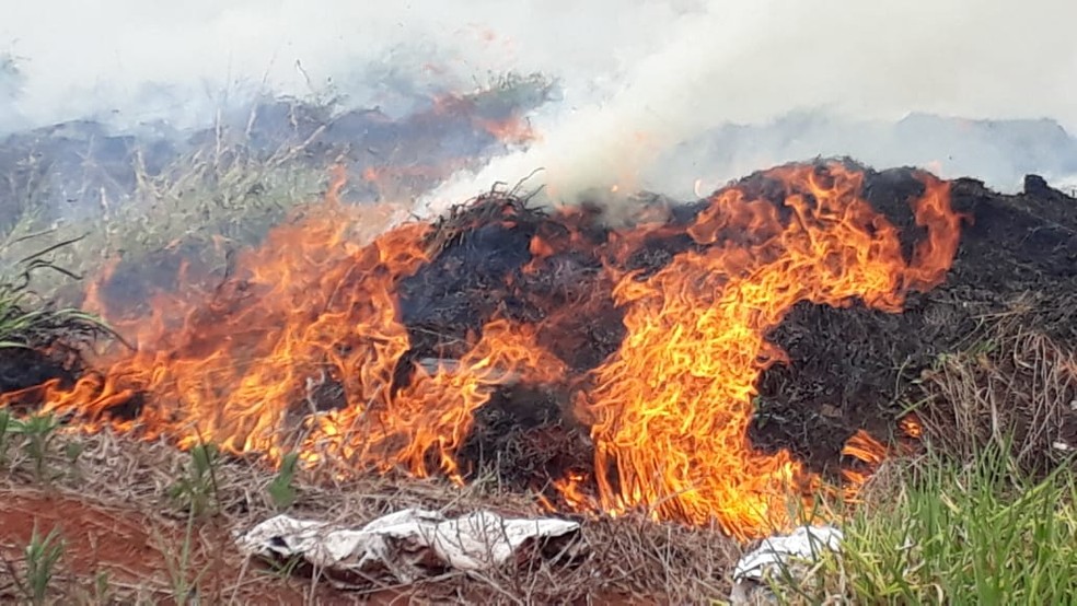 Fogo se espalhou por vegetação e quase atingiu mata nativa, em Campo Mourão — Foto: Polícia Militar/Divulgação
