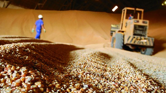 Anec reduz estimativas de exportações de soja, milho e trigo