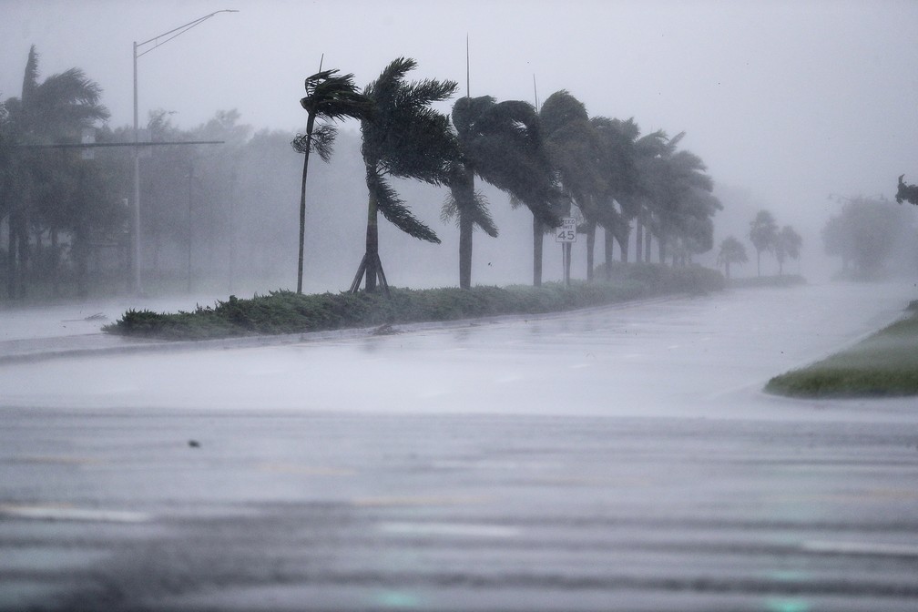 Ventos do furacão Irma sopram palmeiras, em Nápoles, na Flórida (Foto: David Goldman/AP)