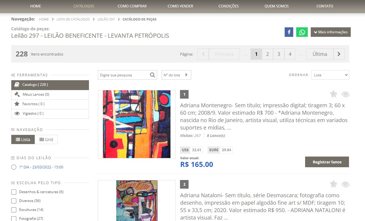 Leilão virtual arrecada fundos para ajudar vítimas da tragédia de Petrópolis 