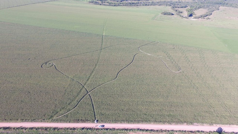 Imagens feitas com drone mostram sinais em lavoura de milheto (Foto: Divino JosÃ©/Arquivo pessoal)