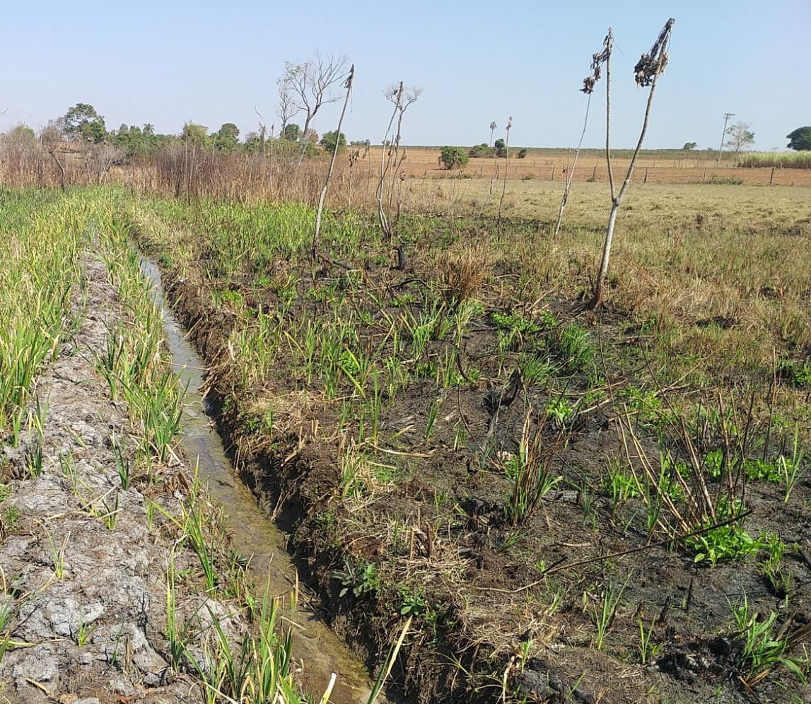 Sitiante leva multa de mais de R$ 10,4 mil por degradações ambientais em Área de Preservação Permanente 