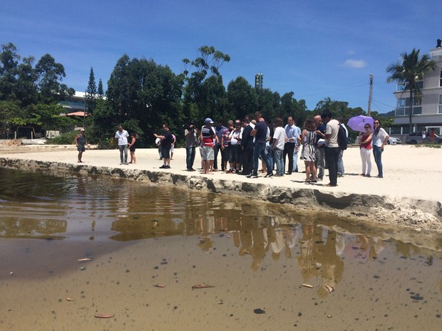 G1 - Margens do Rio do Brás passam por limpeza em Florianópolis