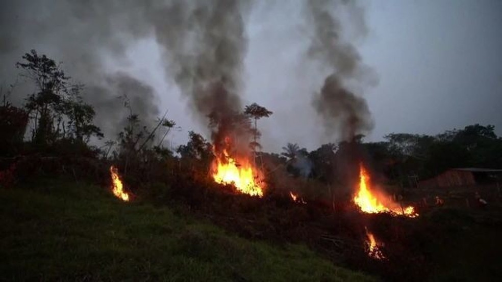 De janeiro a setembro de 2020, o número parcial de queimadas em todo o Amazonas também foi maior que o total de 2019. — Foto: GloboNews