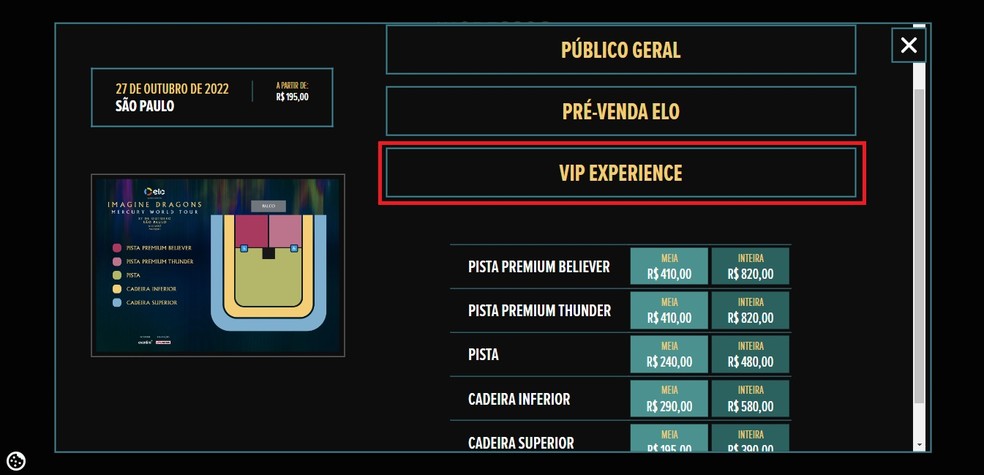 Sele&ccedil;&atilde;o do formato de compra para o show do Imagine Dragons no Brasil &mdash; Foto: Reprodu&ccedil;&atilde;o/Gabrielle Garcia