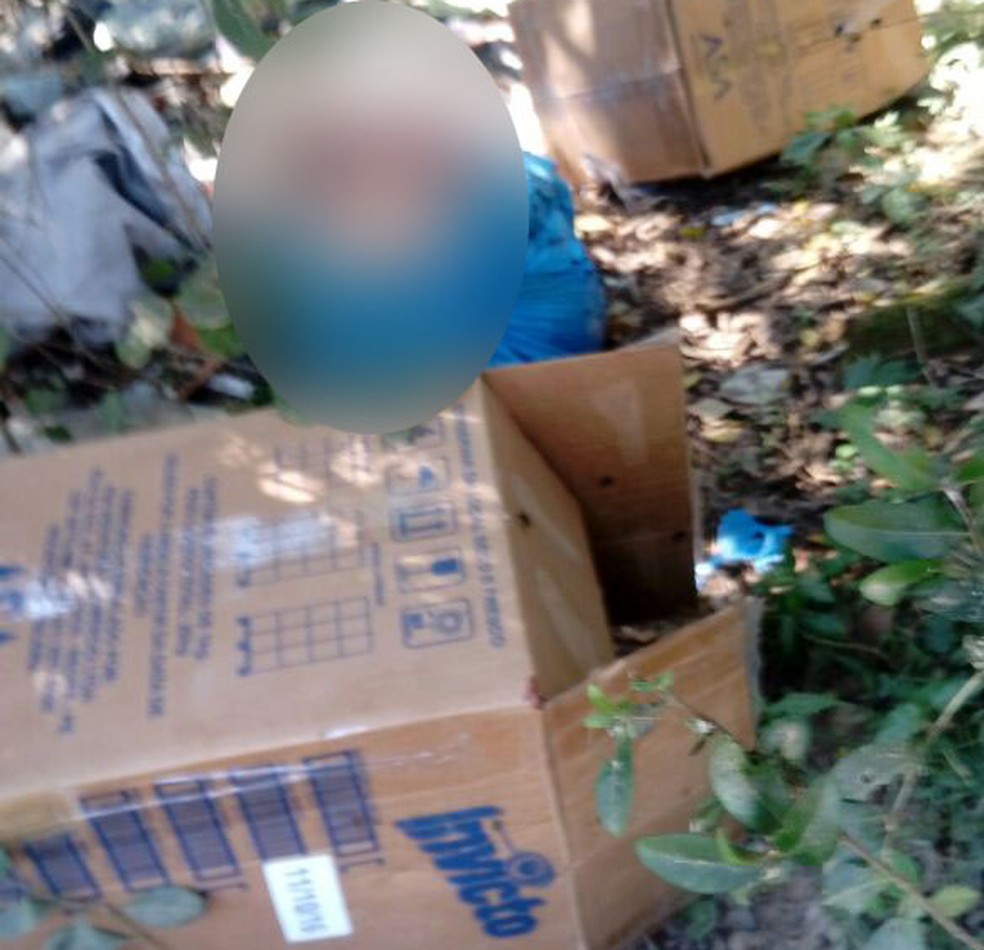 Corpos estavam dentro de caixas de sabão em pó e sacos plásticos (Foto: Divulgação/Polícia Civil)