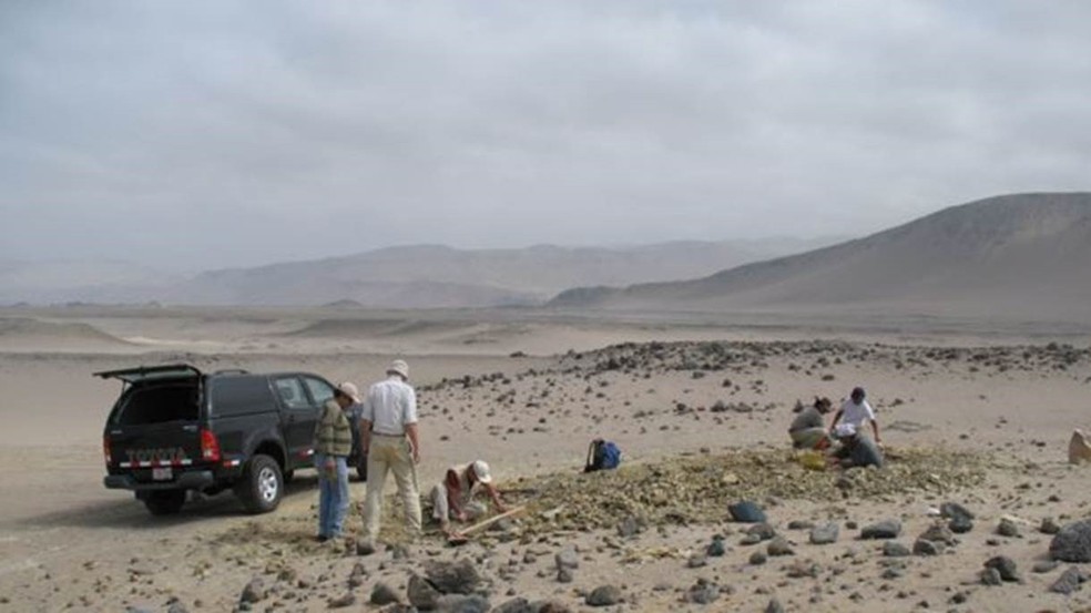 O fóssil foi encontrado nas rochas de Yumaque, na área desértica em frente à Praia Media Luna, na costa sul do Peru. — Foto: Gentileza Olivier Lambert/BBC