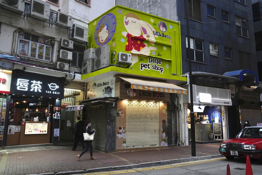 Pet shop de Hong Kong em foto de 18 de janeiro de 2022 — Foto: AP Photo/Kin Cheung