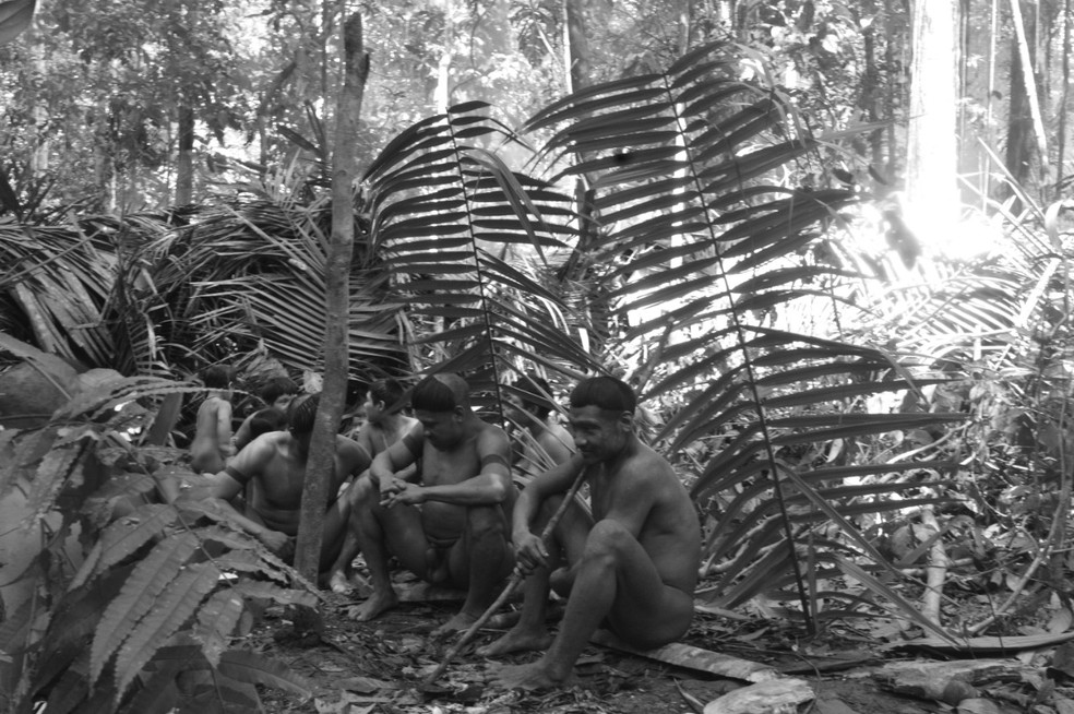 Índios fotografados pela Funai durante expedição ao Vale do Javari. — Foto: Bernardo Silva/Funai