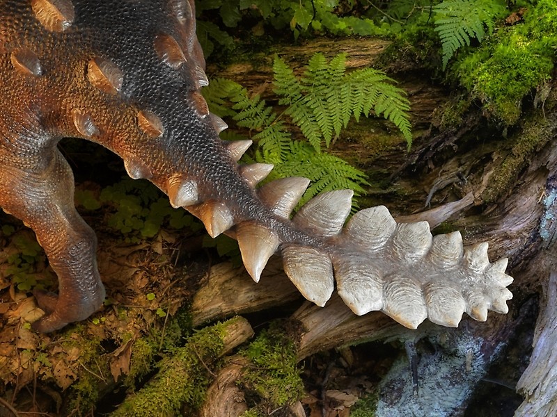 Ponta da causa do dinossauro era usada por ele como arma  (Foto: Universidade do Chile )
