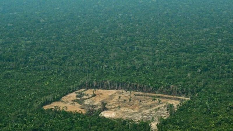 BBC Ambientalistas dizem que aprovação da proposta de Irajá alimentaria a grilagem de terras, uma das principais causas para o desmatamento na Amazônia (Foto: AFP via BBC)